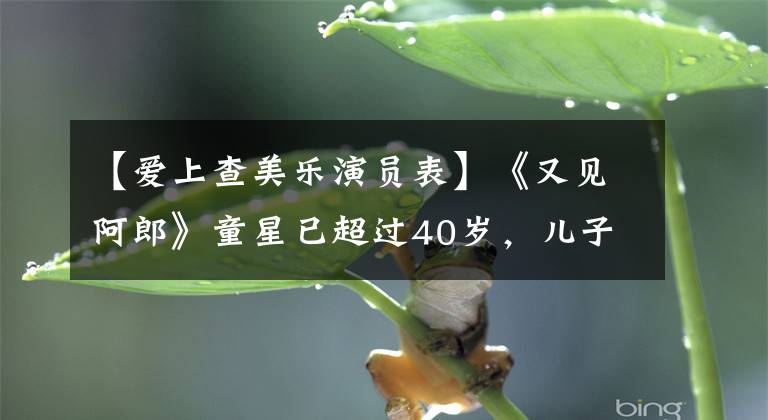 【爱上查美乐演员表】《又见阿郎》童星已超过40岁,儿子2岁出道,三魂娶了越南媳妇。