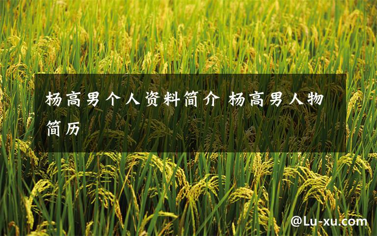 杨高男个人资料简介 杨高男人物简历