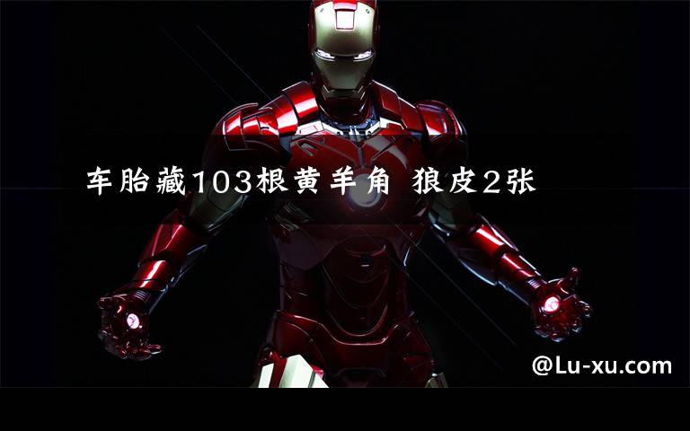 车胎藏103根黄羊角 狼皮2张