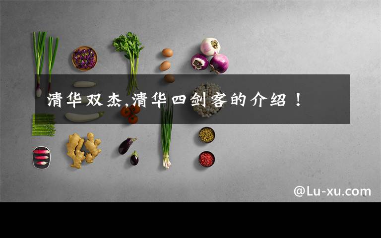 清华双杰,清华四剑客的介绍！