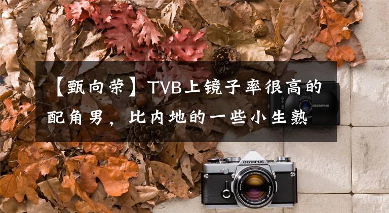 【甄向荣】TVB上镜子率很高的配角男,比内地的一些小生熟悉。