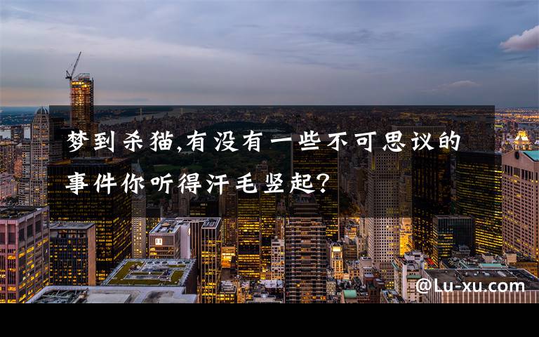 梦到杀猫,有没有一些不可思议的事件你听得汗毛竖起？