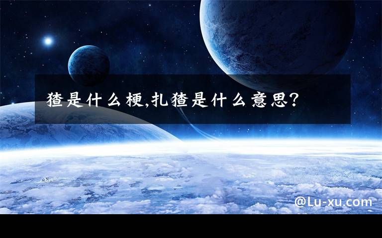 猹是什么梗,扎猹是什么意思？