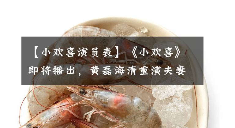 【小欢喜演员表】《小欢喜》即将播出,黄磊海清重演夫妻,男人和周治九龄很般配