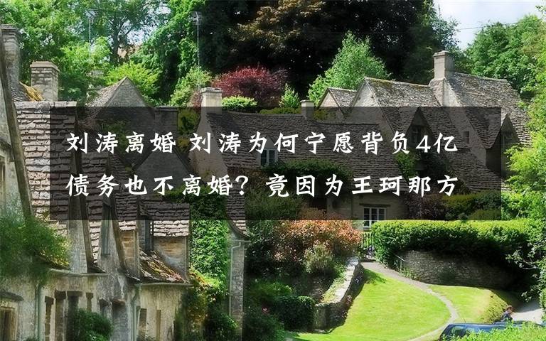 刘涛离婚 刘涛为何宁愿背负4亿债务也不离婚?竟因为王珂那方面太厉害!