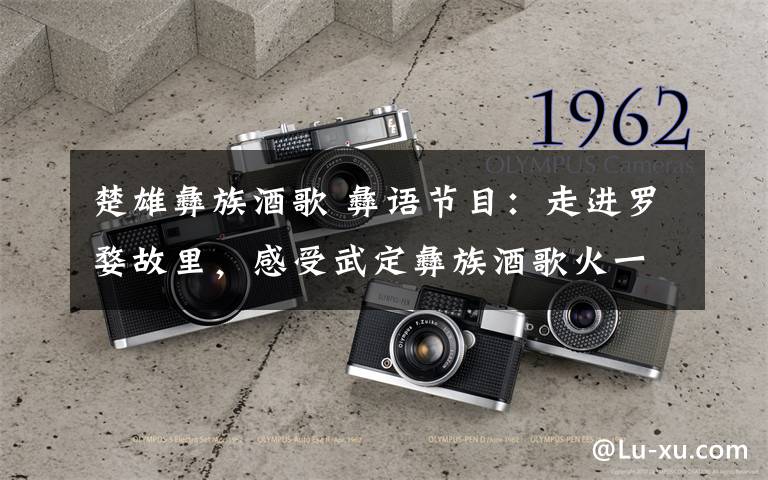 楚雄彝族酒歌 彝语节目:走进罗婺故里,感受武定彝族酒歌火一样的热情