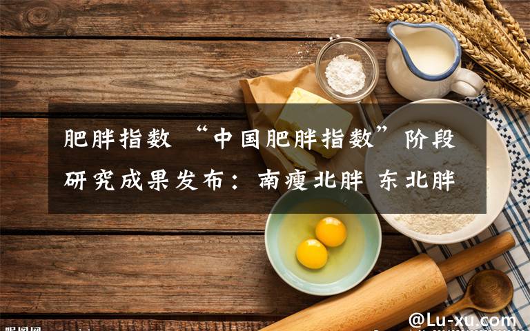 肥胖指数 “中国肥胖指数”阶段研究成果发布:南瘦北胖 东北胖子最多