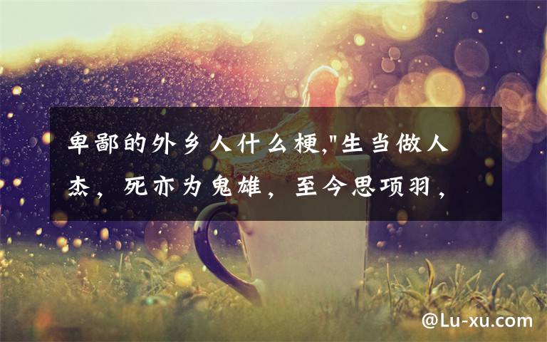 卑鄙的外乡人什么梗,