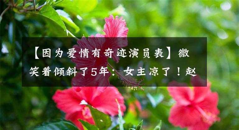 【因为爱情有奇迹演员表】微笑着倾斜了5年:女主凉了!赵燕6人反而名声大振,前途无限