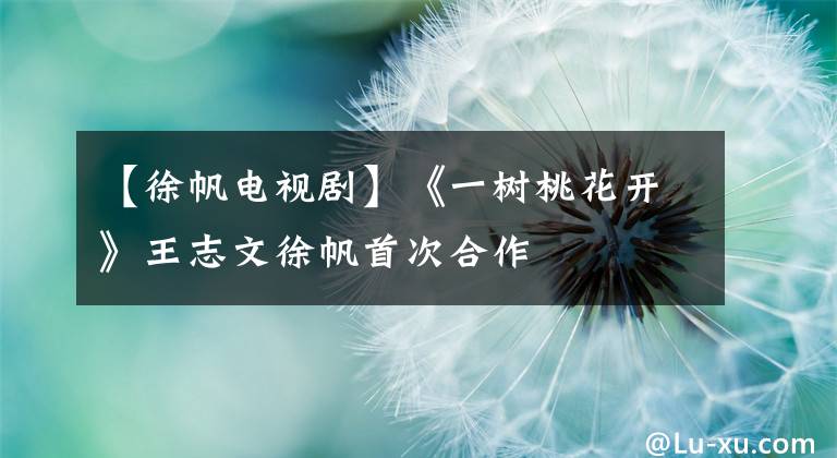 【徐帆电视剧】《一树桃花开》王志文徐帆首次合作