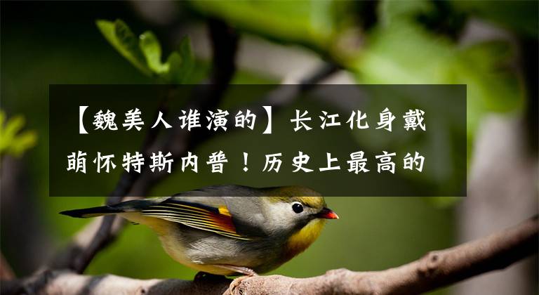 【魏美人谁演的】长江化身戴萌怀特斯内普!历史上最高的颜值来自法海,我担心大家站错CP了。