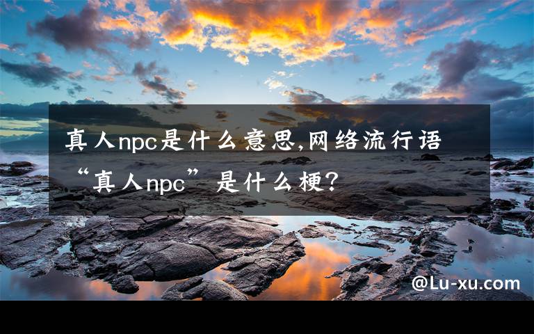 真人npc是什么意思,网络流行语“真人npc”是什么梗?