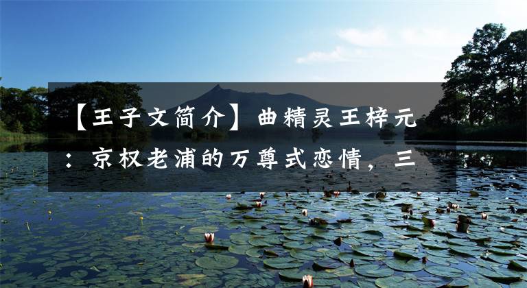 【王子文简介】曲精灵王梓元:京权老浦的万尊式恋情,三线女艺人的上位史。