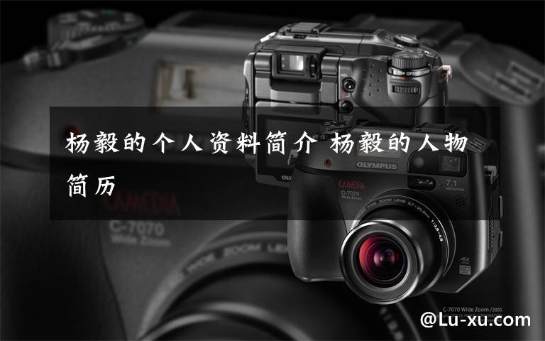 杨毅的个人资料简介 杨毅的人物简历