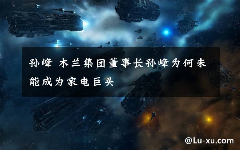 孙峰 木兰集团董事长孙峰为何未能成为家电巨头