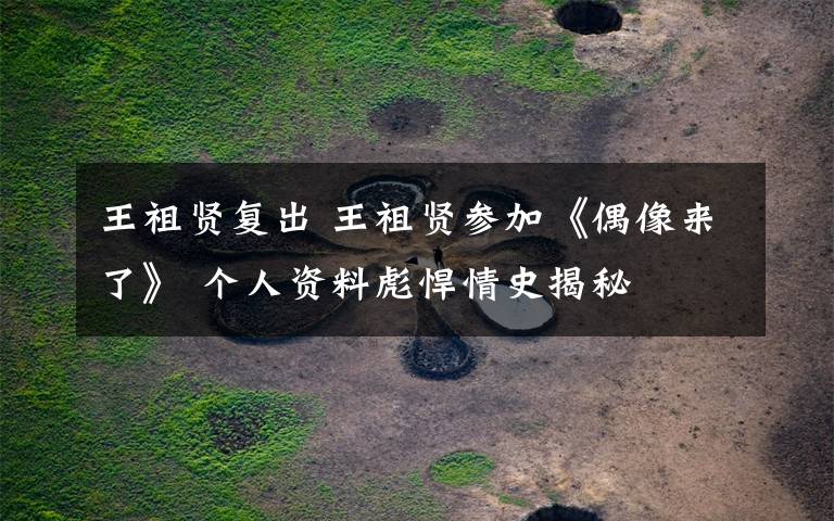 王祖贤复出 王祖贤参加《偶像来了》 个人资料彪悍情史揭秘