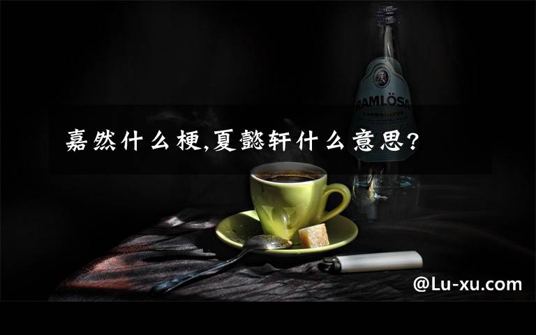 嘉然什么梗,夏懿轩什么意思?