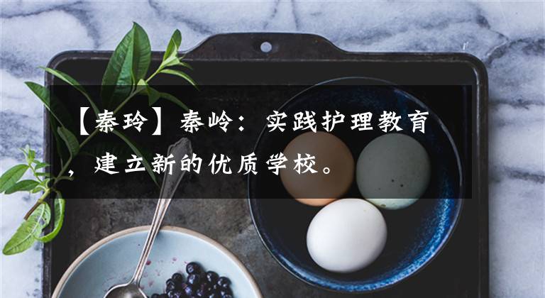 【秦玲】秦岭:实践护理教育,建立新的优质学校。