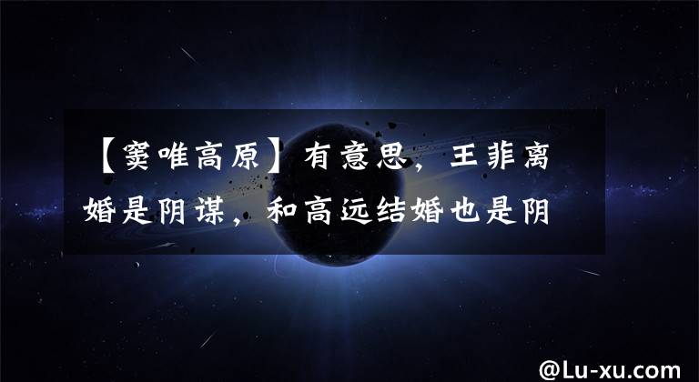 【窦唯高原】有意思,王菲离婚是阴谋,和高远结婚也是阴谋,谁逼你出轨的?