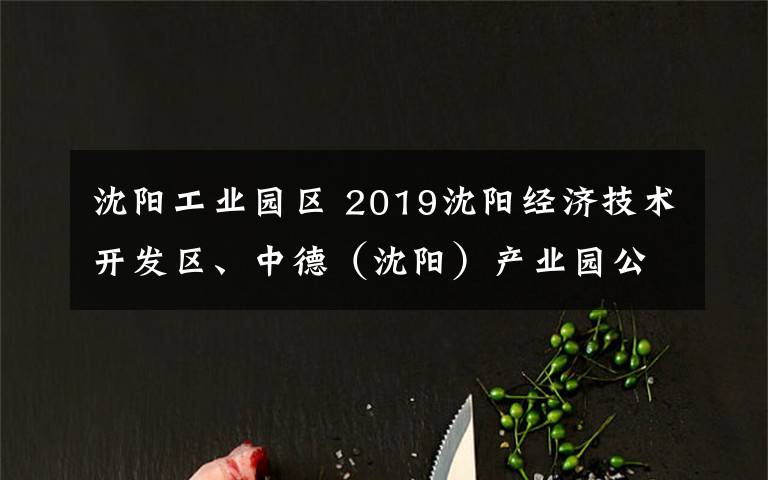 沈阳工业园区 2019沈阳经济技术开发区、中德(沈阳)产业园公开选聘64人公告