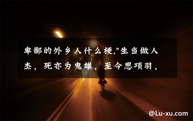 卑鄙的外乡人什么梗,