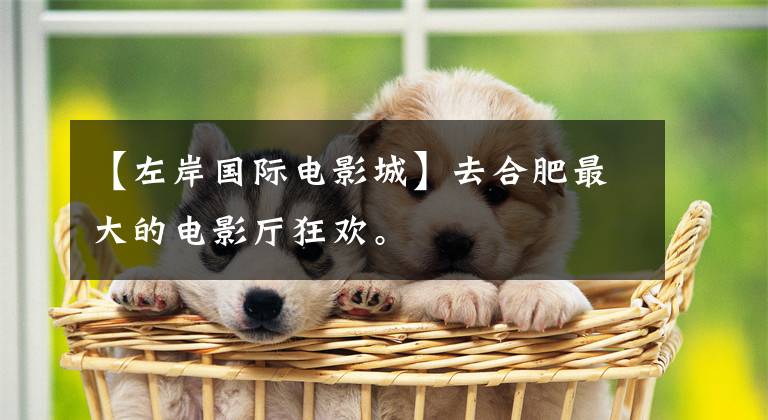 【左岸国际电影城】去合肥最大的电影厅狂欢。