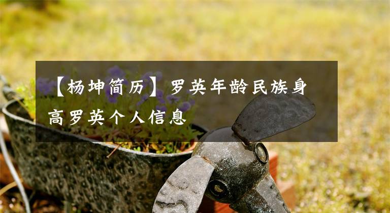 【杨坤简历】罗英年龄民族身高罗英个人信息