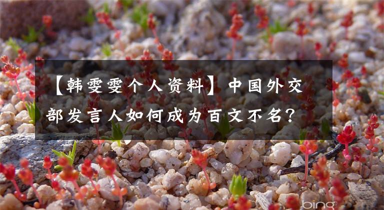 【韩雯雯个人资料】中国外交部发言人如何成为百文不名?提拔曝光“台前幕后”