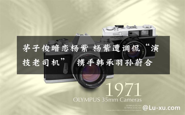 茅子俊暗恋杨紫 杨紫遭调侃“演技老司机”  携手韩承羽孙蔚合力脱困