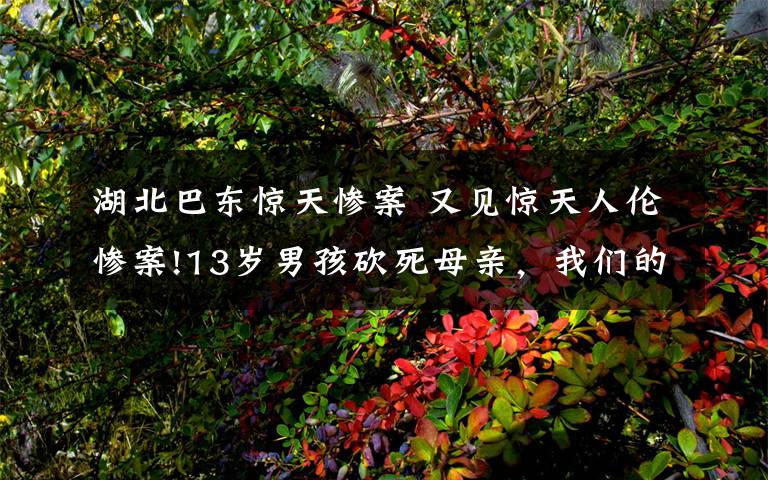 湖北巴东惊天惨案 又见惊天人伦惨案!13岁男孩砍死母亲，我们的孩子怎么了?
