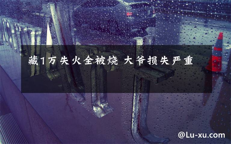 藏1万失火全被烧 大爷损失严重