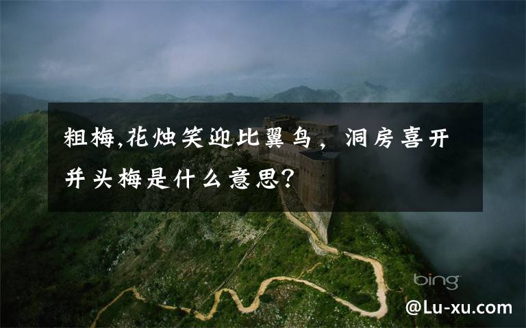 粗梅,花烛笑迎比翼鸟，洞房喜开并头梅是什么意思？