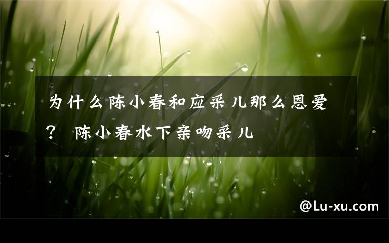 为什么陈小春和应采儿那么恩爱? 陈小春水下亲吻采儿