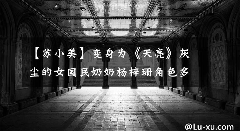 【苏小美】变身为《天亮》灰尘的女国民奶奶杨梓珊角色多方面