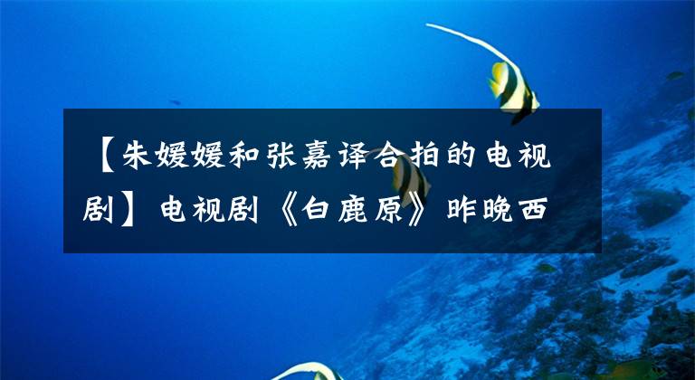 【朱媛媛和张嘉译合拍的电视剧】电视剧《白鹿原》昨晚西安本土演员希格饰演的黑色娃娃登场了。