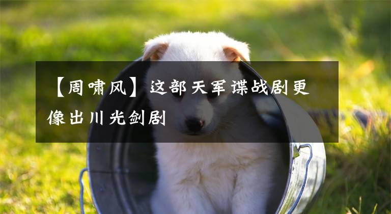 【周啸风】这部天军谍战剧更像出川光剑剧
