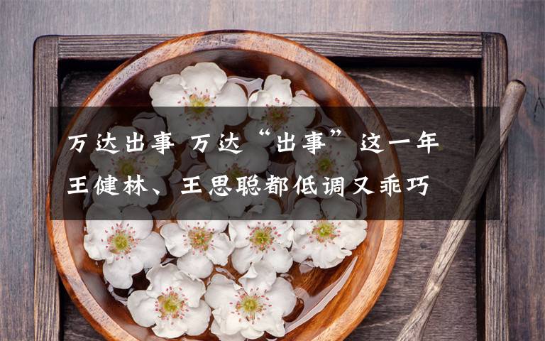 万达出事 万达“出事”这一年 王健林、王思聪都低调又乖巧