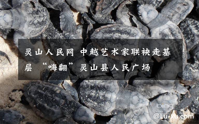 灵山人民网 中越艺术家联袂走基层 “嗨翻”灵山县人民广场