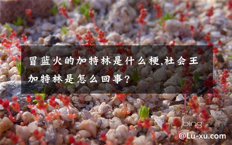 冒蓝火的加特林是什么梗,社会王加特林是怎么回事?