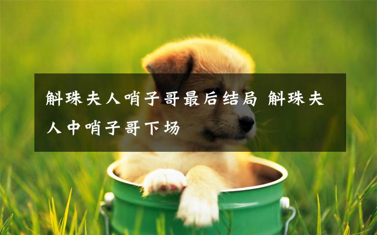 斛珠夫人哨子哥最后结局 斛珠夫人中哨子哥下场