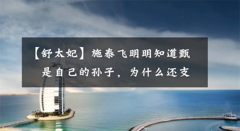 【舒太妃】施泰飞明明知道甄嬛是自己的孙子,为什么还支持她回宫?心情不简单