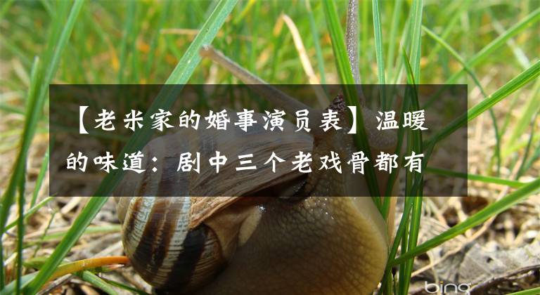 【老米家的婚事演员表】温暖的味道：剧中三个老戏骨都有观众的缘分，但被女主的舍不得拖住了后腿。