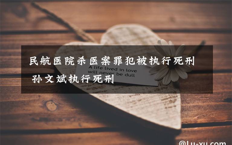 民航医院杀医案罪犯被执行死刑 孙文斌执行死刑