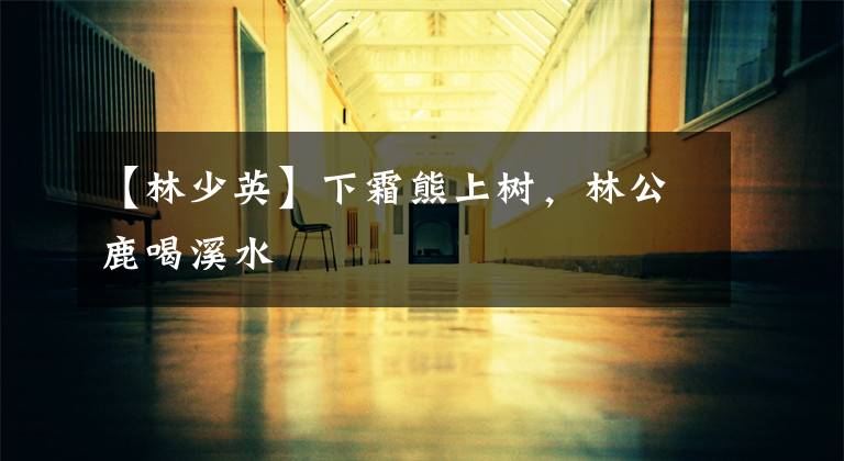 【林少英】下霜熊上树,林公鹿喝溪水
