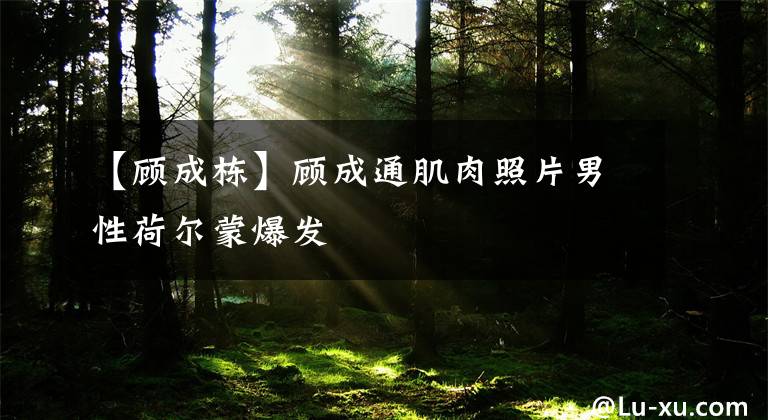 【顾成栋】顾成通肌肉照片男性荷尔蒙爆发