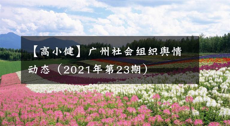 【高小健】广州社会组织舆情动态（2021年第23期）