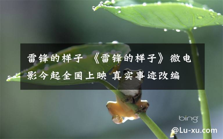 雷锋的样子 《雷锋的样子》微电影今起全国上映 真实事迹改编