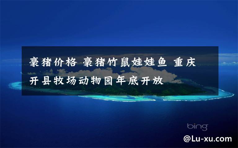 豪猪价格 豪猪竹鼠娃娃鱼 重庆开县牧场动物园年底开放