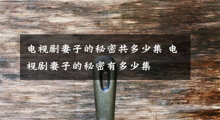 电视剧妻子的秘密共多少集 电视剧妻子的秘密有多少集