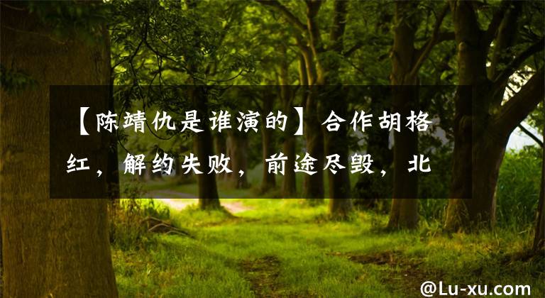 【陈靖仇是谁演的】合作胡格红,解约失败,前途尽毁,北京出租二手车的事实被曝光。